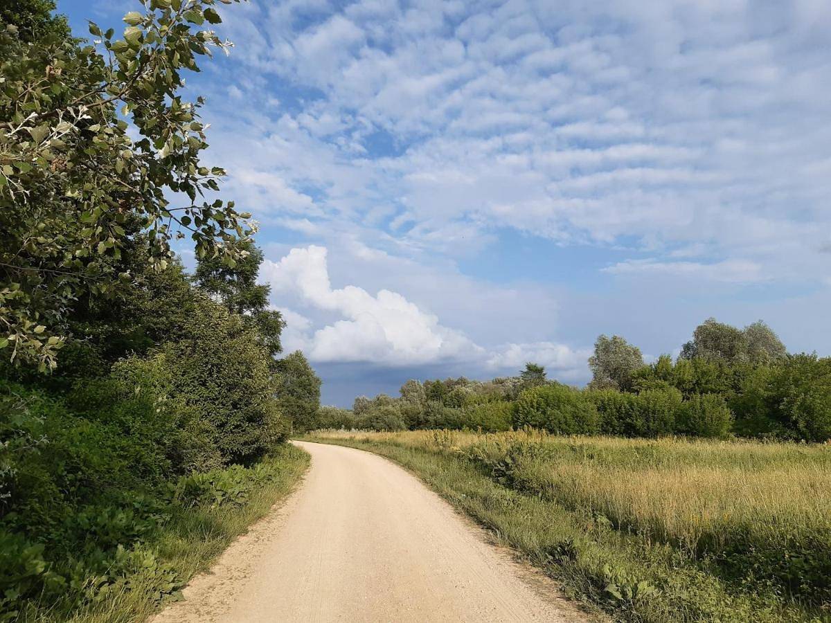 Domek nad Bugiem z Sauną in Podlasie
