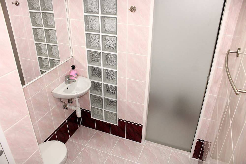 Ganze Wohnung, Small one room apartment with balcony in Ostslowakei