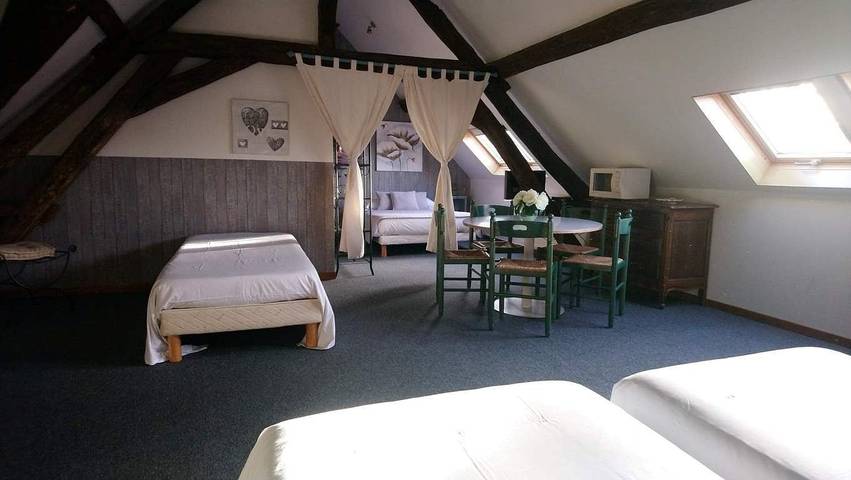 Chambre d’hôte pour 5 personnes, avec jardin ainsi que piscine et vue sur le lac dans Nièvre - 4