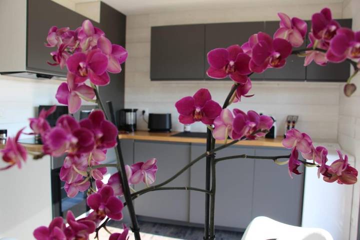 Location de vacances pour 3 personnes, avec vue et terrasse à Arenthon - 2