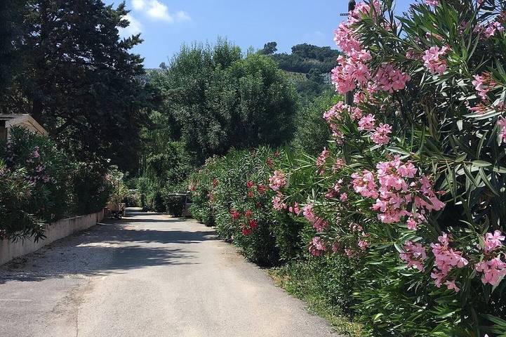 Mobil home pour 6 personnes à Auribeau-sur-Siagne - 4