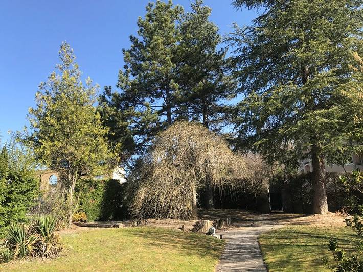 Gîte pour 4 personnes, avec terrasse ainsi que piscine et jardin dans les Alpes-de-Haute-Provence - 4