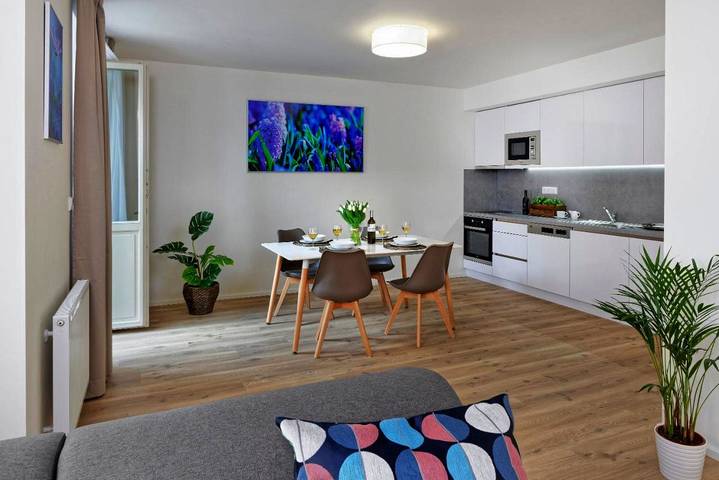 Apartmenthotel für 3 Personen, mit Balkon und Ausblick, mit Haustier - 1