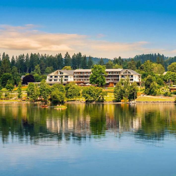 Hotel für 4 Personen, mit Balkon und Terrasse sowie Garten und Pool in Titisee-Neustadt