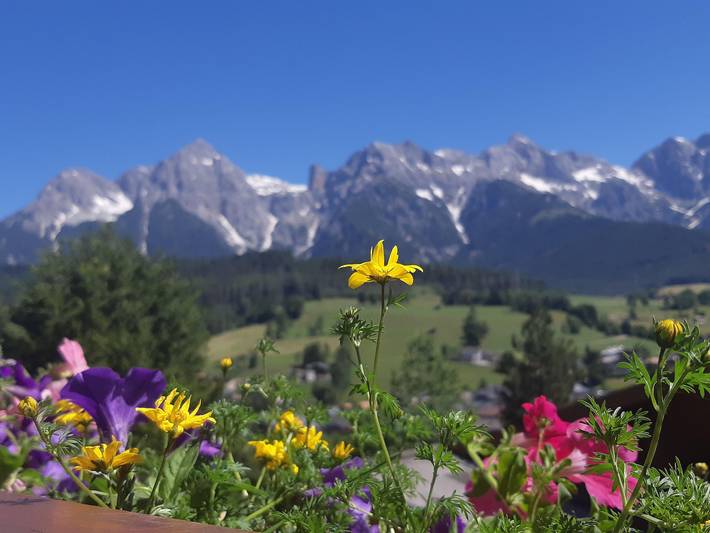 Ferienwohnung für 4 Personen, mit Balkon und Terrasse sowie Garten und Pool in Maria Alm - 4