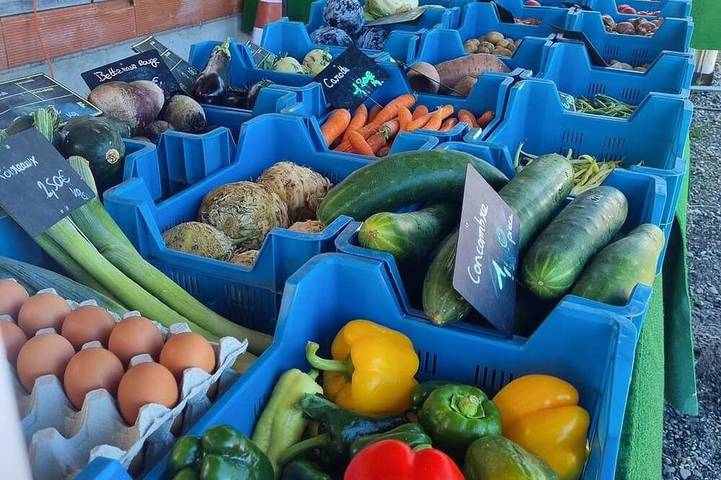 Mobil home pour 4 personnes à Widensolen - 4