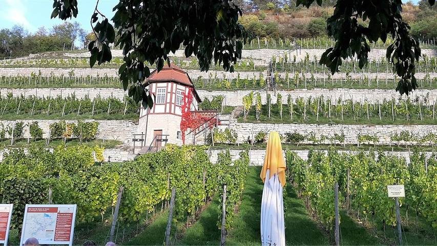 Ferienwohnung für 4 Personen, mit Garten in Naumburg - 4