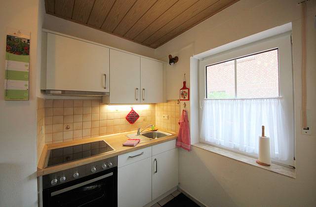 Ferienhaus für 5 Personen, mit Garten, mit Haustier in Sögel - 2