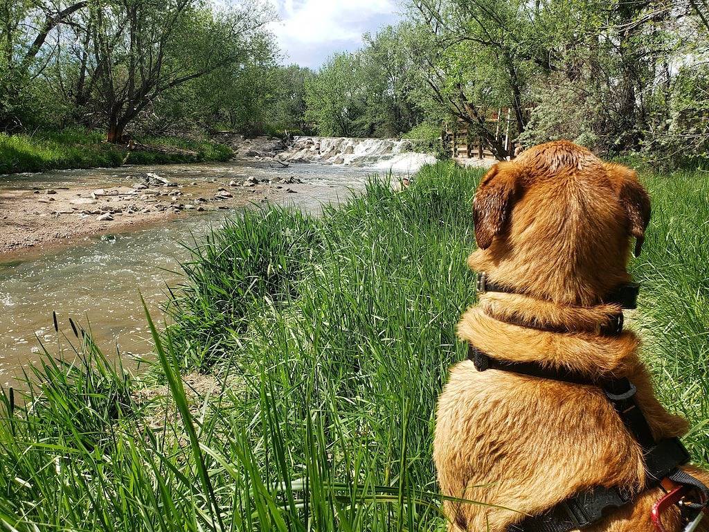 Front Range View, 7 Mins to Downtown in Stratmoor Hills, Stratmoor