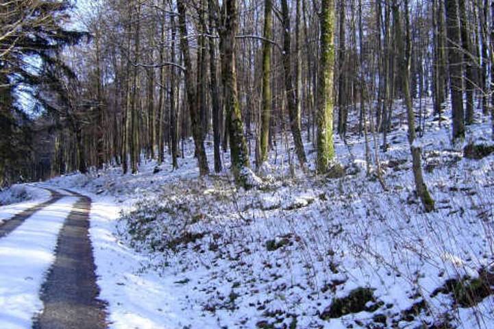 Ferienhaus für 6 Personen, mit Garten, mit Haustier in Thüringische Rhön - 3