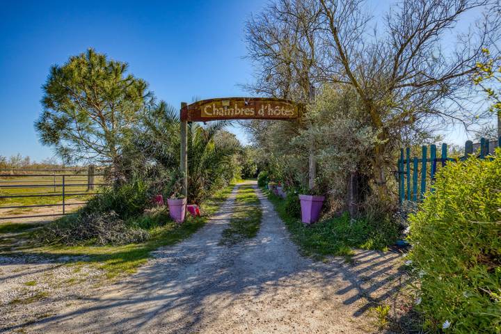 Ferienwohnung für 4 Personen, mit Garten in Saintes-Maries-de-la-Mer - 3