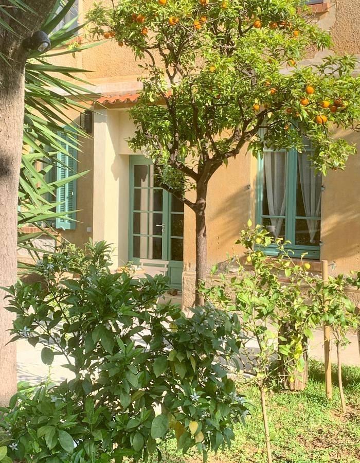 Chambre d’hôte pour 2 personnes, avec terrasse ainsi que jardin et piscine dans Parc national de Port-Cros - 2