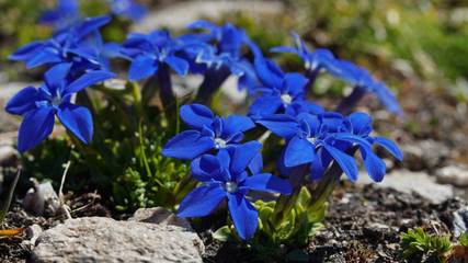 Appartement voor 4 Personen in Saas-Grund, Massief van de Monte Rosa, Afbeelding 2