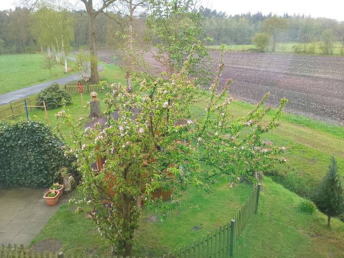"Gemüsehof Röben" in Zetel, Südliche Nordseeküste