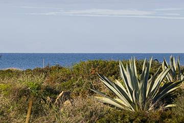 Apartamento in Colònia de Sant Jordi, Ses Salines für 4 