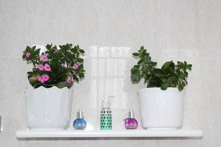 Casa rural para 3 personas, con jardín en Valle de Baztan - 3