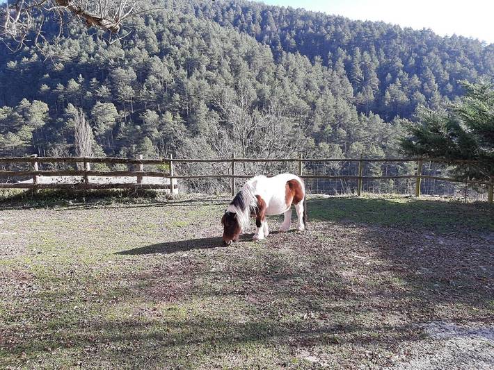 Casa rural para 10 personas, con jardín y vistas en Ripollès - 2