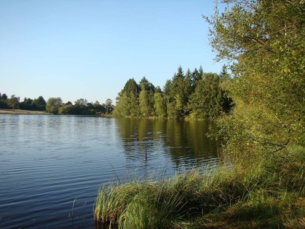 Chasseneuil in Saint-Pardoux-le-Lac, Région de Bellac