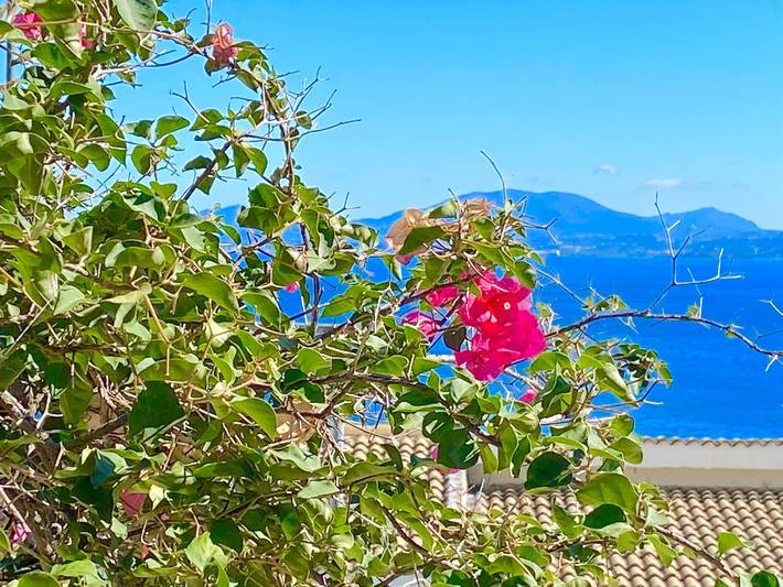Entire apartment, Nissaki Cyclamen Luxury Apartment in Nissaki, Corfu
