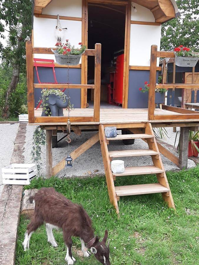 Camping pour 4 personnes, avec Balcon ainsi que Terrasse et Jardin