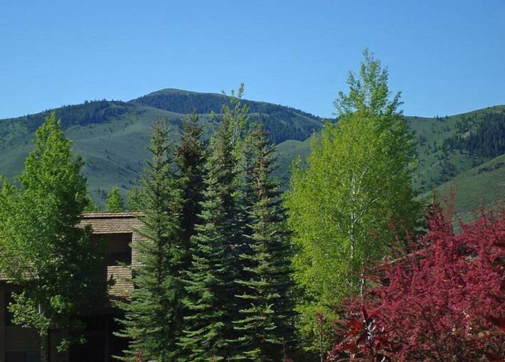 Vacation rental for 4 people, with balcony and pool in Sun Valley ID