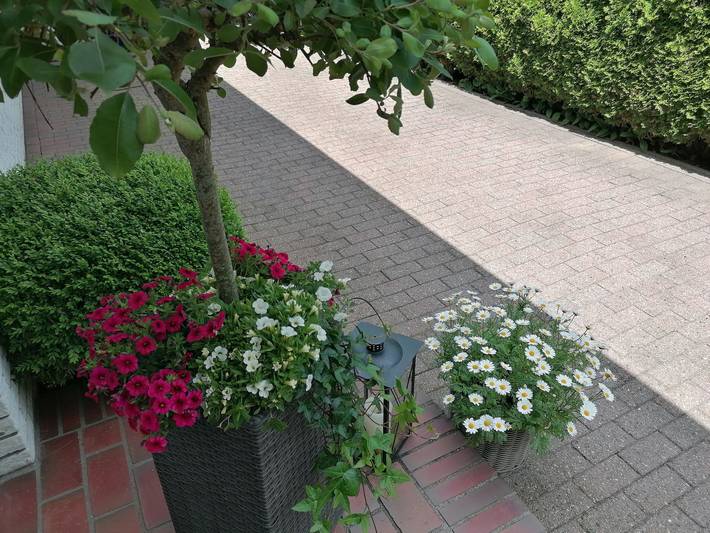 Ferienwohnung für 2 Personen in Nordfriesland - 4