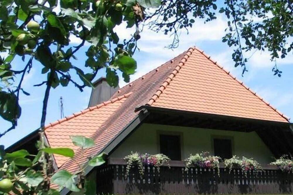 Ganze Wohnung, Ferienwohnung Horben für 1 - 2 Personen - Ferienwohnung in Suedlicher Schwarzwald, Horben