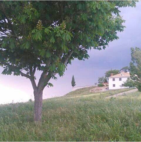Hotel para 3 personas, con jardín y vistas en Provincia de Cuenca - 4