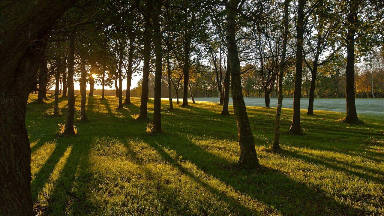 Ferienhaus für 6 Personen (130 m²) in Børkop in Andkær, Børkop