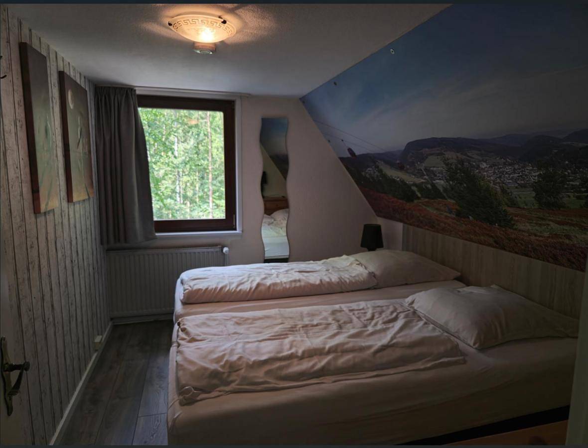 Ferienhaus Lemmerwald in Willingen, die Mittelgebirge