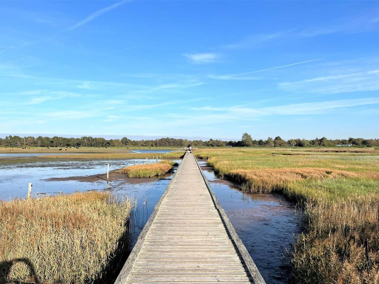 "Mella" - 625m from the sea in Gudmindrup Lyng, Højby