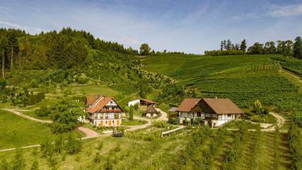 Ferienwohnung für 4 Personen in Oberkirch, Mittlerer Schwarzwald, Bild 2