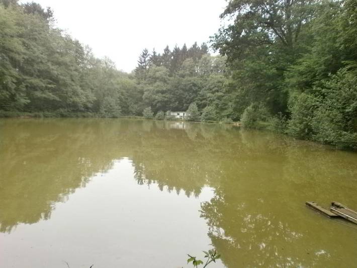 Location de vacances pour 6 personnes, avec Terrasse et Jardin à Cerfontaine - 4