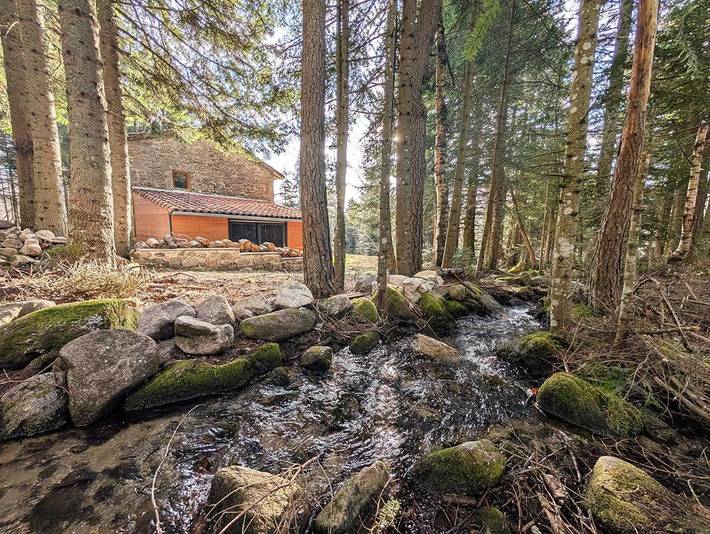 Location de vacances pour 12 personnes, avec terrasse ainsi que jacuzzi et sauna, animaux acceptés dans Chalmazel-Jeansagnière - 2