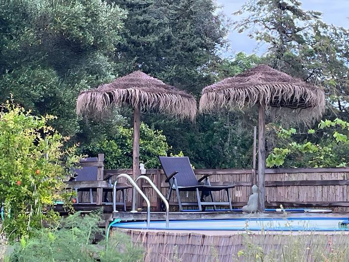 Casa de férias para 3 pessoas, com vista para o lago e jardim, com animais de estimação - 1