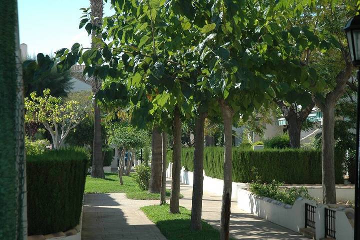 Apartamento para 5 personas, con balcón además de jardín y piscina en Torre de la Horadada