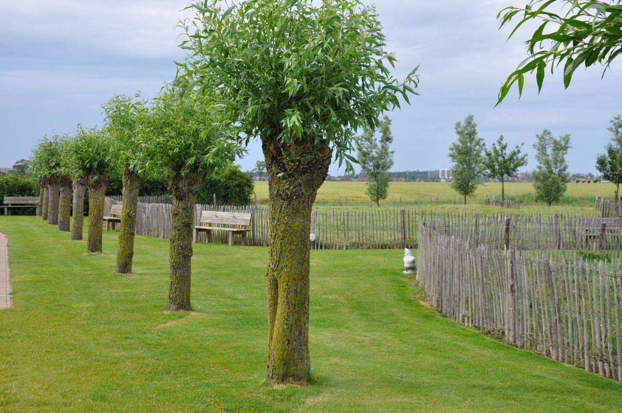 B&B Knotwilgenhoeve in Ramskapelle, Knokke-Heist