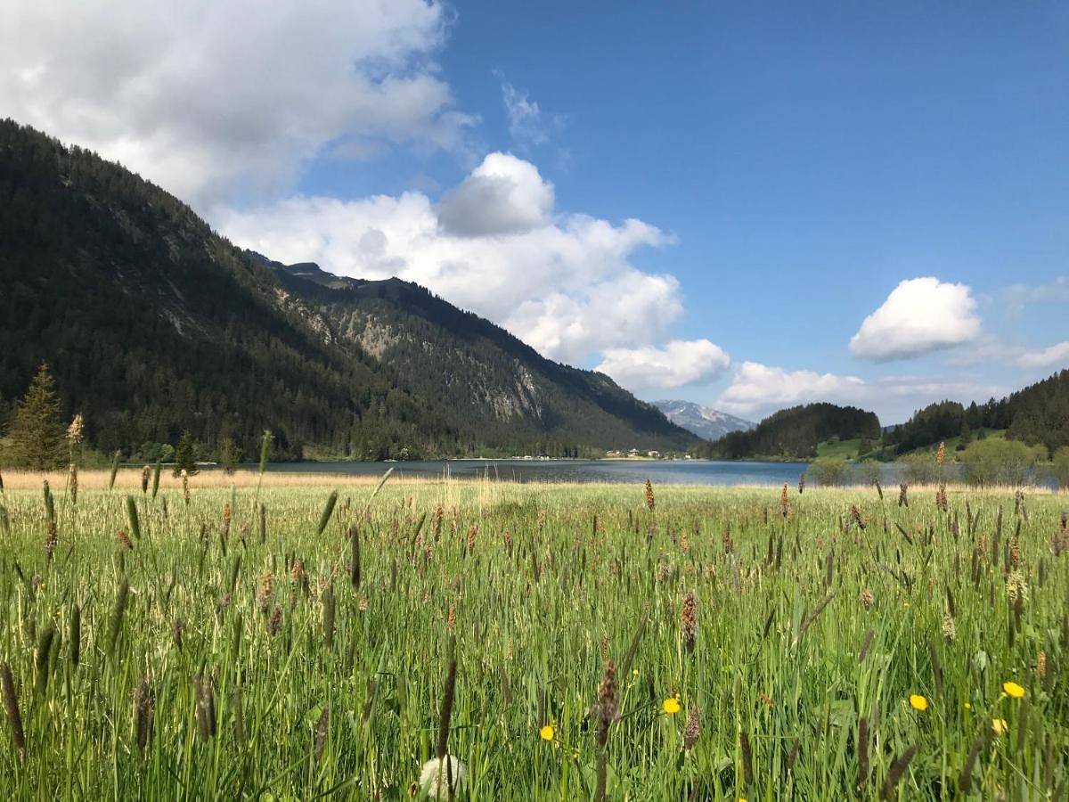 Ganze Wohnung, Apartment with Lake View in Haller am Haldensee, Allgäuer Alpen (Österreich)