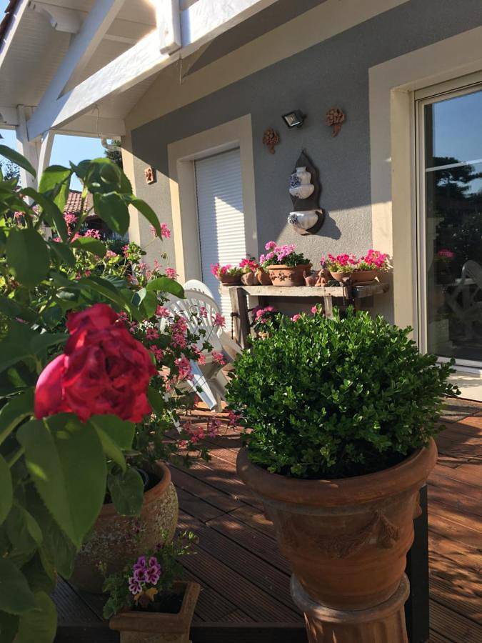Chambre d’hôte pour 3 personnes, avec Terrasse et Jardin à Soulac-sur-Mer