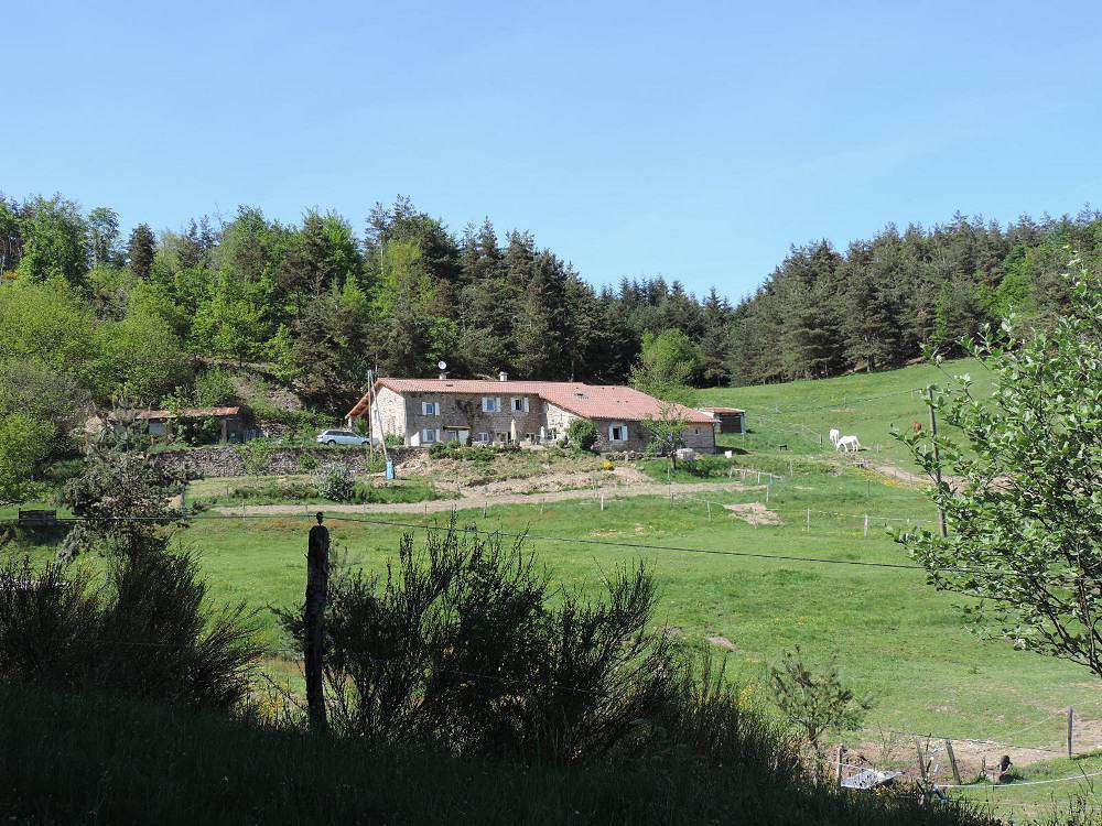 Les Combes Claires - Myrtille in Saint-Julien-Labrousse, Parc naturel régional des Monts d'Ardèche