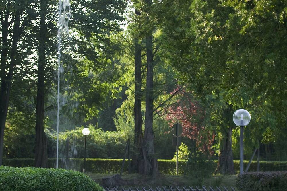 Ganze Wohnung, 5 Minuten von der Spessart-Therme - Bartelshof Ferienwohnung in Bad Soden-Salmünster, Main-Kinzig-Kreis