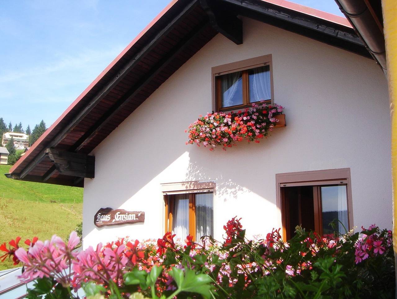 Hotel- Pension Enzian, Doppelzimmer mit Balkon oder Terrasse inklusive Frühstück in Todtnauberg (Todtnau), Todtnau