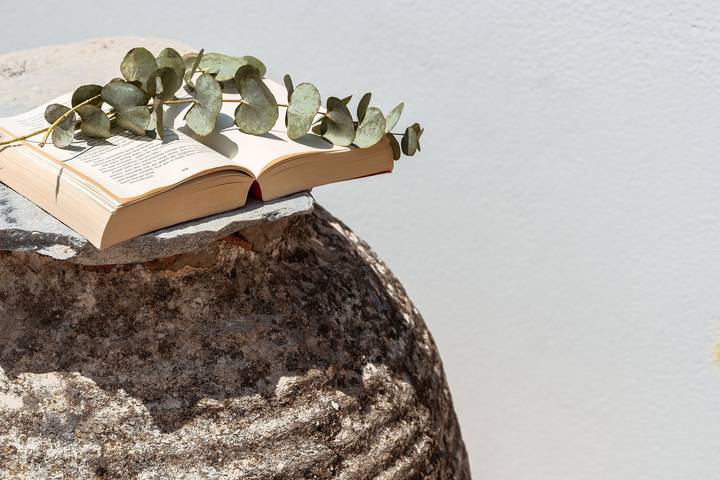 Ferienwohnung für 3 Personen, mit Terrasse und Garten sowie Ausblick auf Naxos - 4