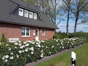 Ferienwohnung für 3 Personen in Bad Zwischenahn, Ammerland, Bild 3