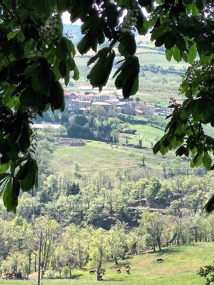 Chambres et table d'hôtes Le Duzon - Chambre 1 Tilleul in Saint-Sylvestre (Rhône-Alps), Région de Tournon-sur-Rhône