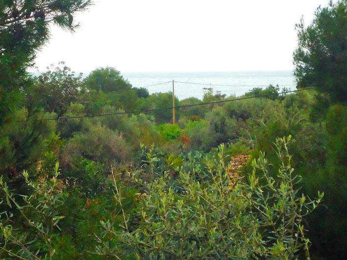 Casa rural para 6 personas, con piscina y jardín en Peñíscola - 4