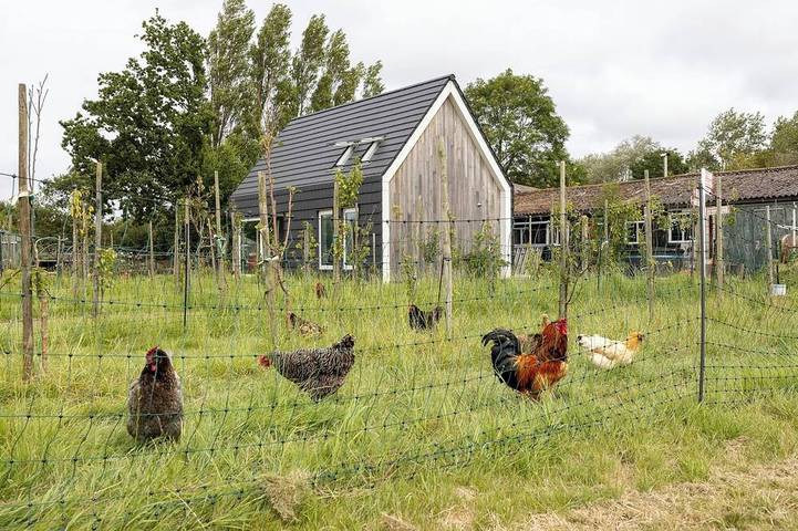 Ferienhaus für 4 Personen, mit Garten und Pool, mit Haustier