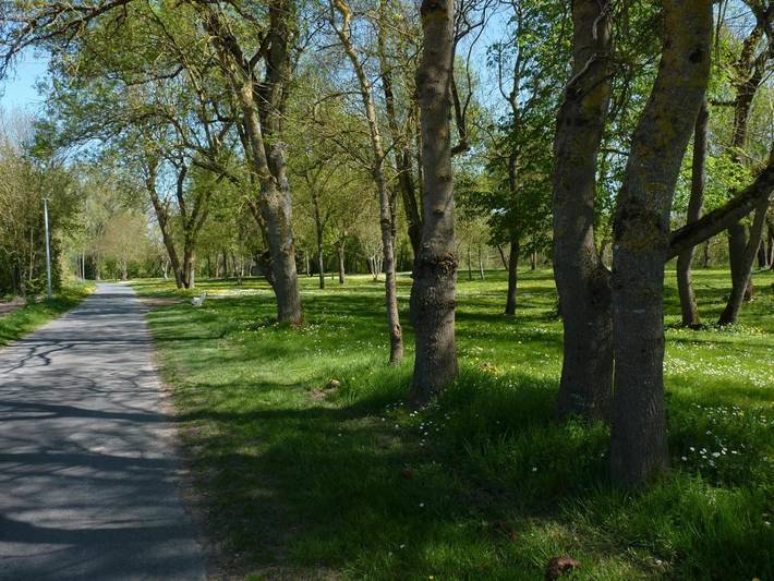 Location de vacances pour 3 personnes, avec vue ainsi que terrasse et jardin à Chouzé-sur-Loire - 2