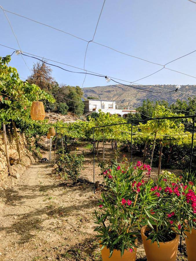 Alojamiento y desayuno para 2 personas, con jardín además de piscina y vistas en Alpujarra Almeriense