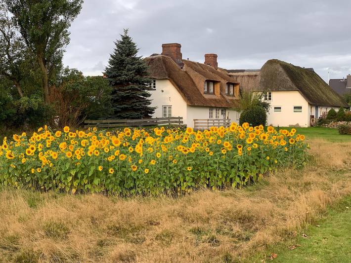 Ferienwohnung für 4 Personen, mit Garten in Tinnum - 3
